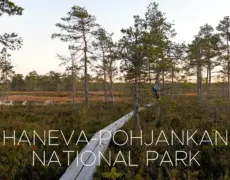 Descubre la belleza del Parque Nacional de Kauhaneva-Pohjankangas: un destino turístico imperdible para tu próximo viaje