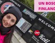 Descubre la magia del turismo en el Parque Nacional de Koli: una guía de viaje imperdible