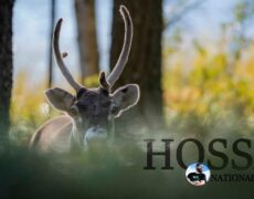 Descubre la belleza del Parque Nacional de Hossa en una caminata única: ¡Una aventura imperdible para los amantes del turismo y la naturaleza!