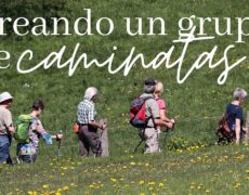Descubre la belleza natural de Repovesi: Guía para hacer una caminata en el Parque Nacional
