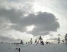 Descubre la belleza natural de Urho Kekkonen: La mejor caminata en el Parque Nacional