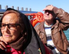 Descubre el paraíso turístico de Kotka: Excursión en barco por su archipiélago
