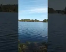 Descubre la belleza del turismo en el Lago Katumajärvi: un viaje imprescindible en Finlandia