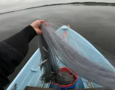 Descubre el turismo en el impresionante Lago Kitkajärvi: un viaje imperdible en Finlandia