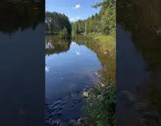 Descubre el encanto del turismo en el Lago Kuolimo: un viaje imperdible