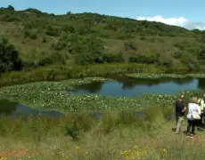 Descubre el encanto del turismo en el Lago Sotkamo: un destino imperdible para tu próximo viaje