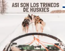 Descubre el turismo de invierno en Finlandia con emocionantes actividades como el trineo de perros