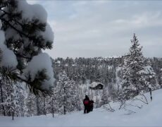 Descubre la magia del turismo invernal en el Parque Nacional de Isojärvi en Finlandia