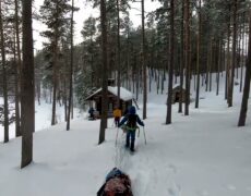 Descubre la belleza natural de Lemmenjoki: Guía para realizar una caminata en este impresionante Parque Nacional de Finlandia