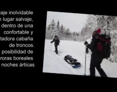 Descubre la belleza natural de Finlandia con una caminata en el Parque Nacional de Oulanka: una experiencia única de turismo y viaje