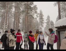 Descubre la magia del invierno en el Parque Nacional de Patvinsuo en Finlandia: turismo de aventura en la nieve