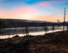 Descubre el turismo de invierno en el Parque Nacional de Urho Kekkonen: Una caminata inolvidable en Finlandia