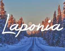 Turismo invernal en Finlandia: Descubre la belleza del Parque Nacional de Ylläs-Pallas en una caminata única
