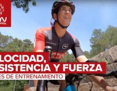 Descubre la belleza costera de Hanko en bicicleta: un viaje imperdible para los amantes del turismo activo