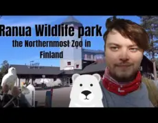 Descubre la fauna ártica de Finlandia en el zoológico de Ranua – Una experiencia única de turismo en el norte